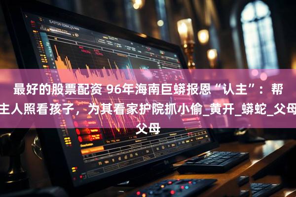 最好的股票配资 96年海南巨蟒报恩“认主”：帮主人照看孩子，为其看家护院抓小偷_黄开_蟒蛇_父母